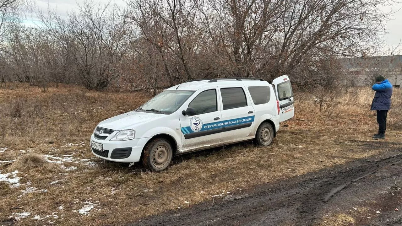 В Копейске ликвидировали последствия незаконного сброса биологических отходов