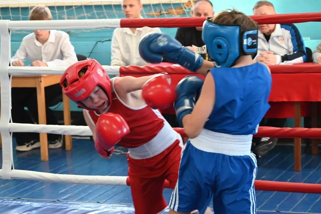 В Копейске новый турнир по боксу