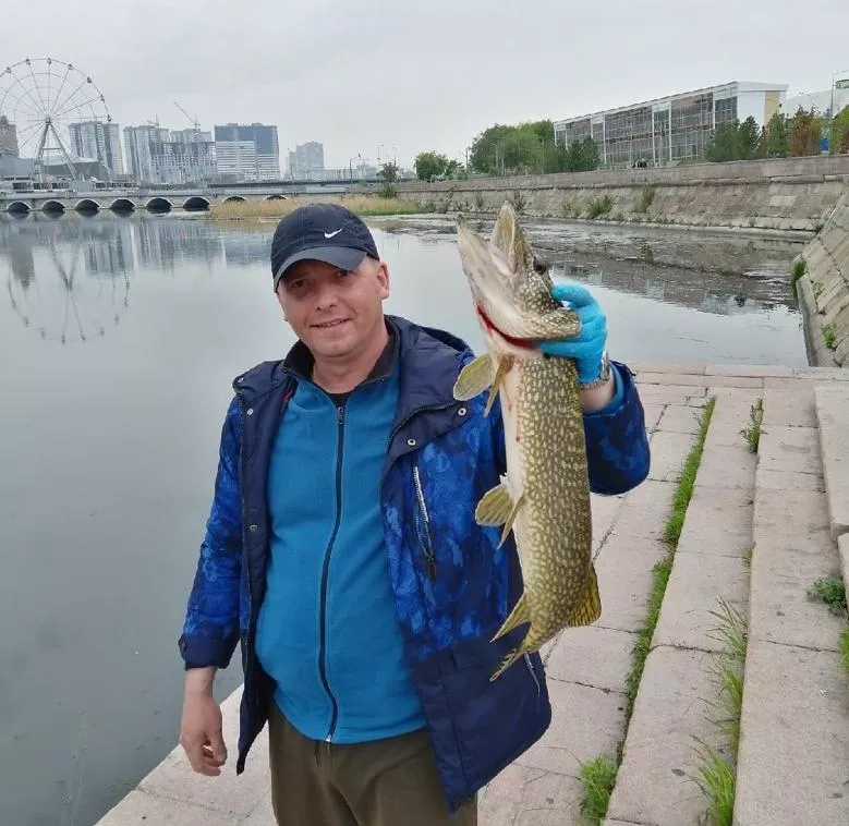 В центре Челябинска поймали большую щуку