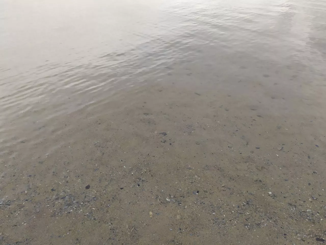 После гибели ребенка в Копейске проведут круглый стол по вопросам безопасности на воде