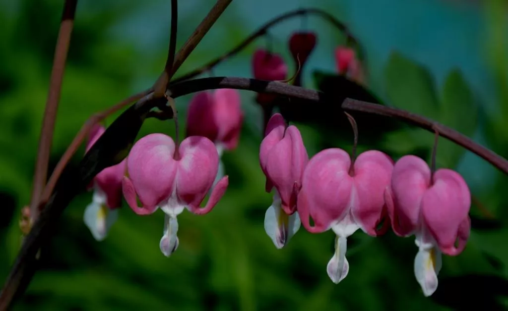 Красота родного края