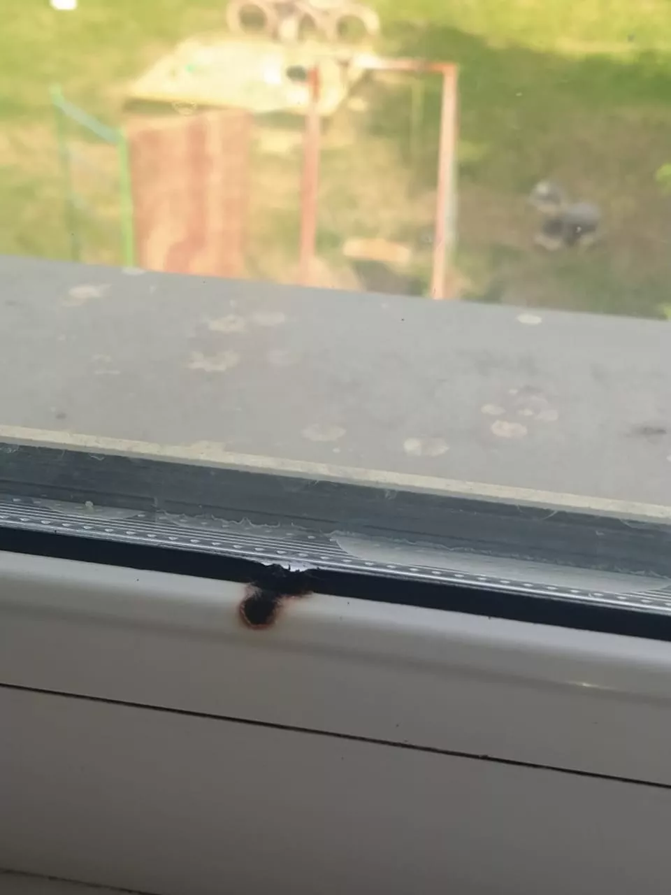 Физика в действии: квартира едва не загорелась из-за зеркала и солнца