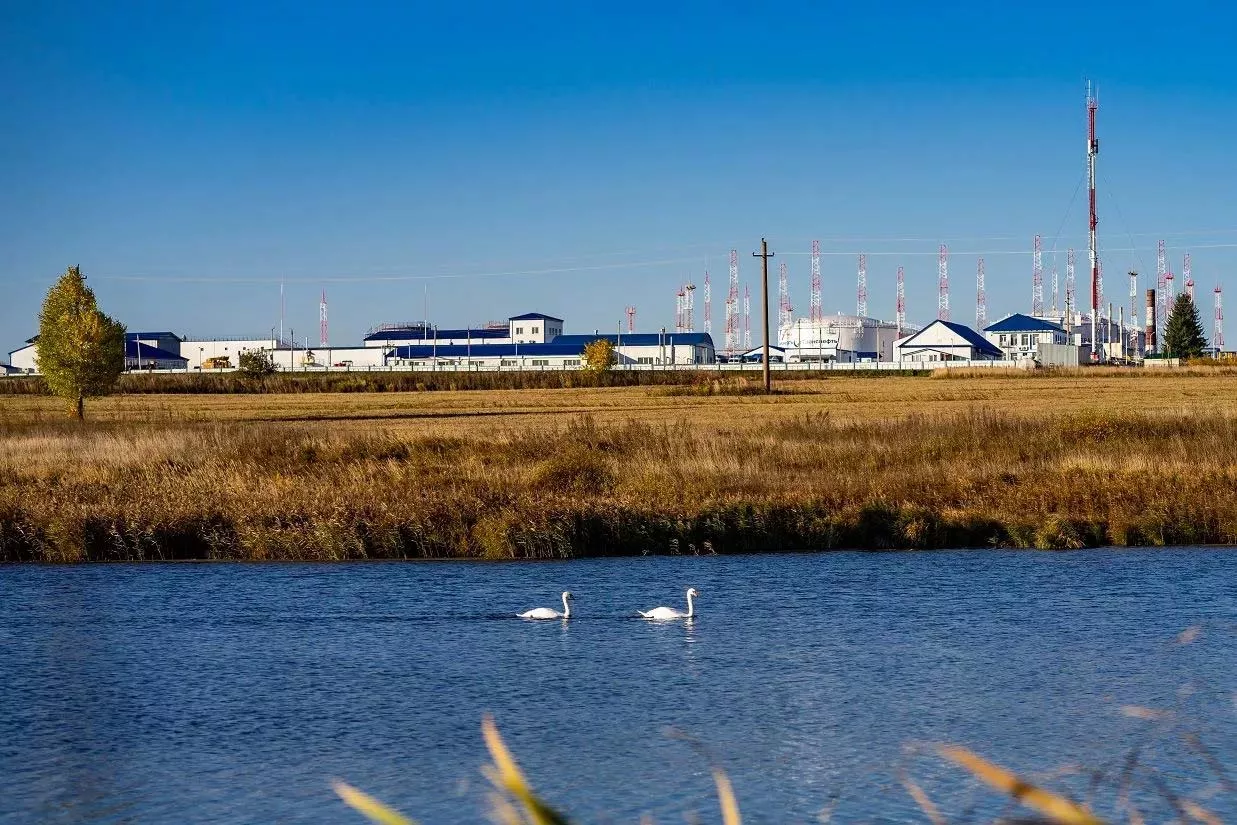 Благодаря нефтепроводчикам рыбы прибавилось