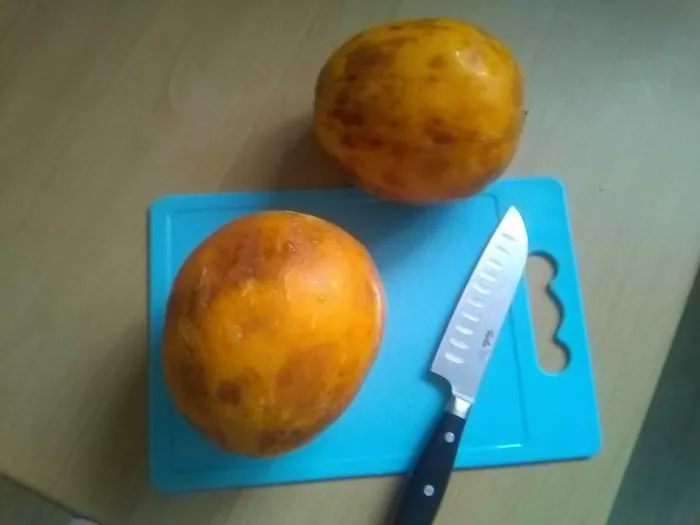 Можно ли на Южном Урале кушать дыню в конце июня