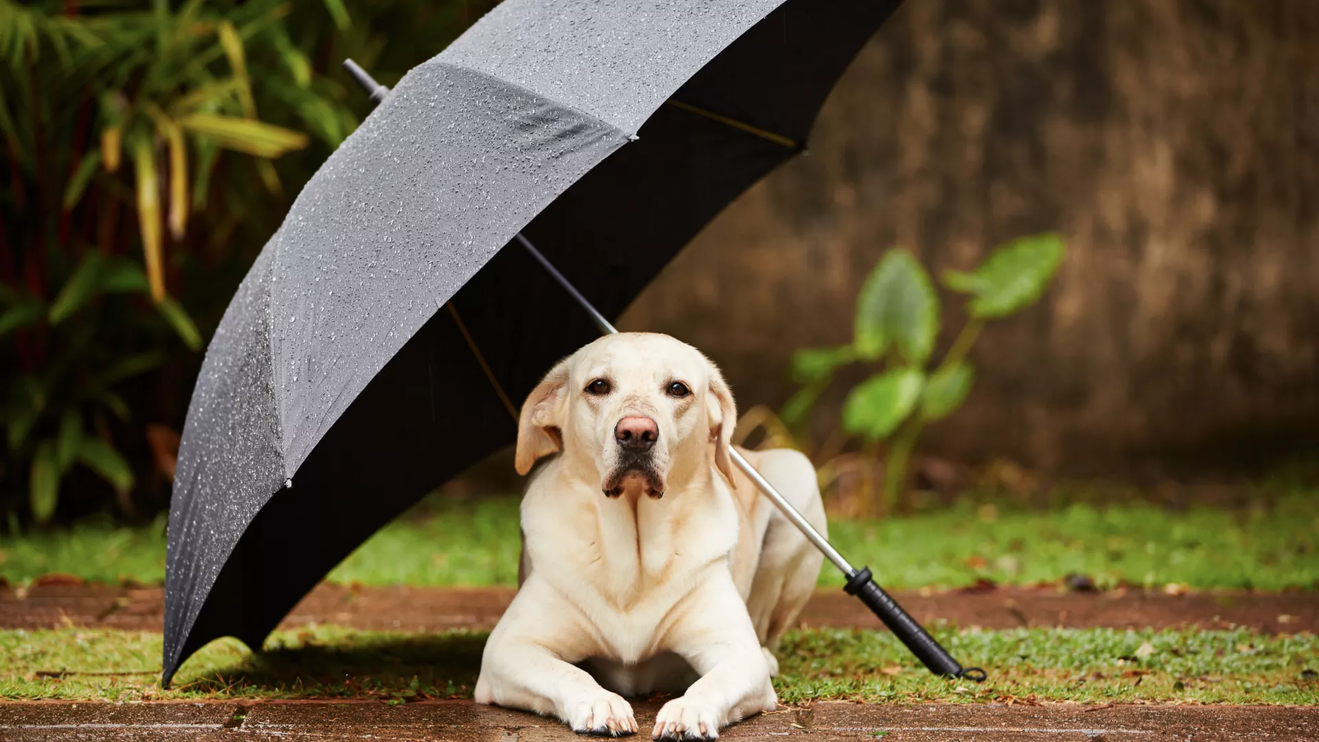 Прогноз погоды: что ожидает Южный Урал в ближайшие 3 дня?