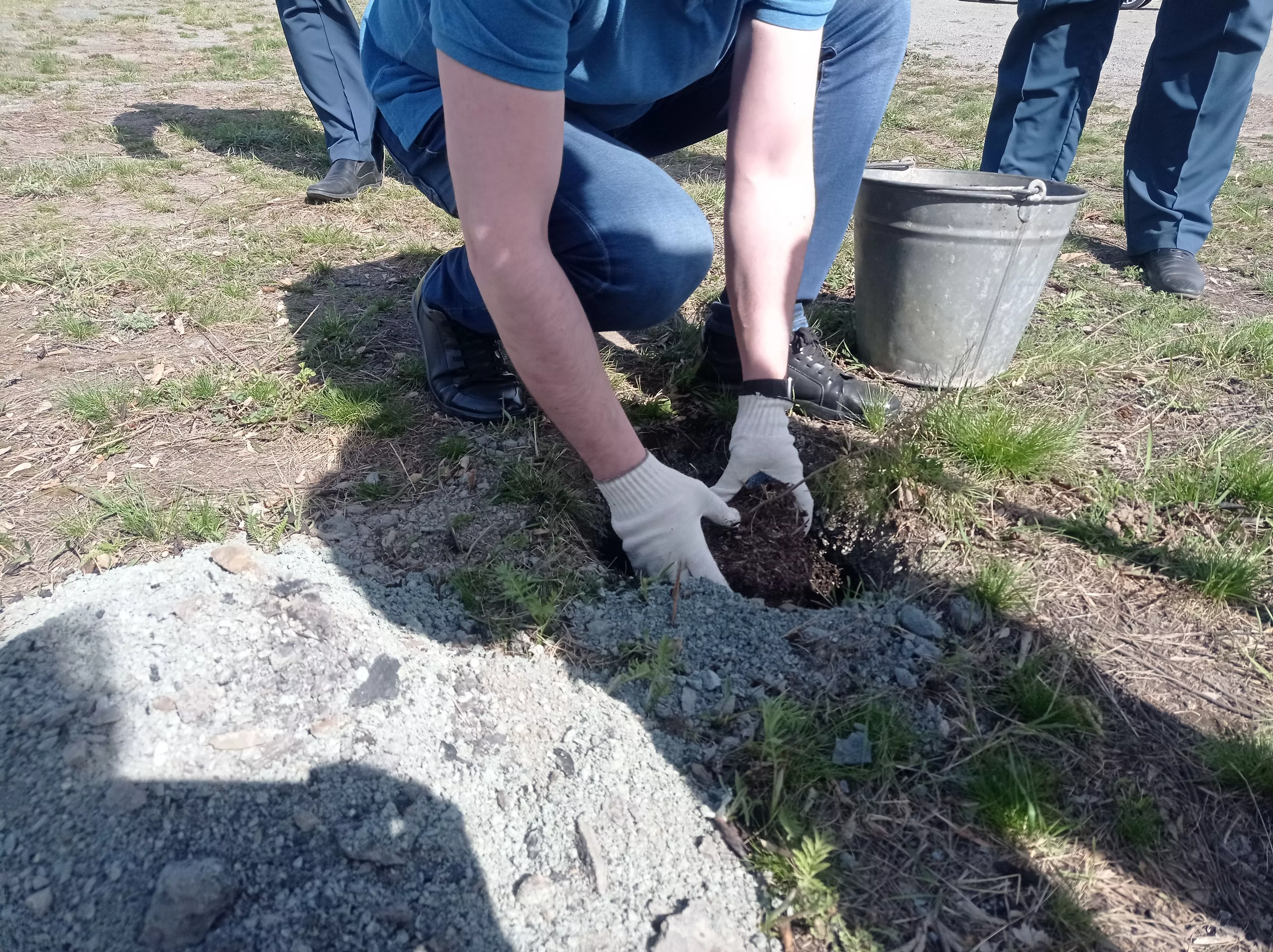 В Копейске высадили саженцы сосны в память о погибших на шахте Центральной