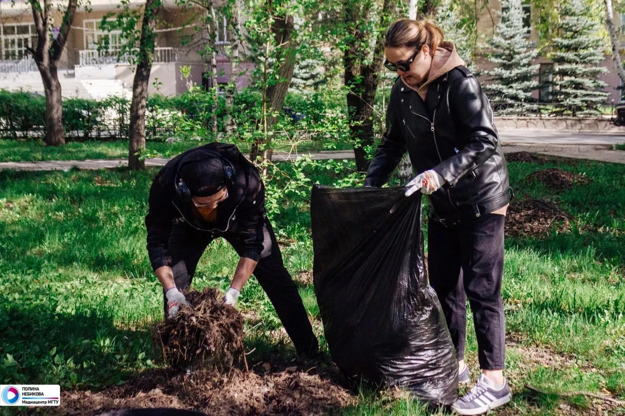 Челябинская область примет участие во Всероссийской неделе субботников «Мы за чистоту»