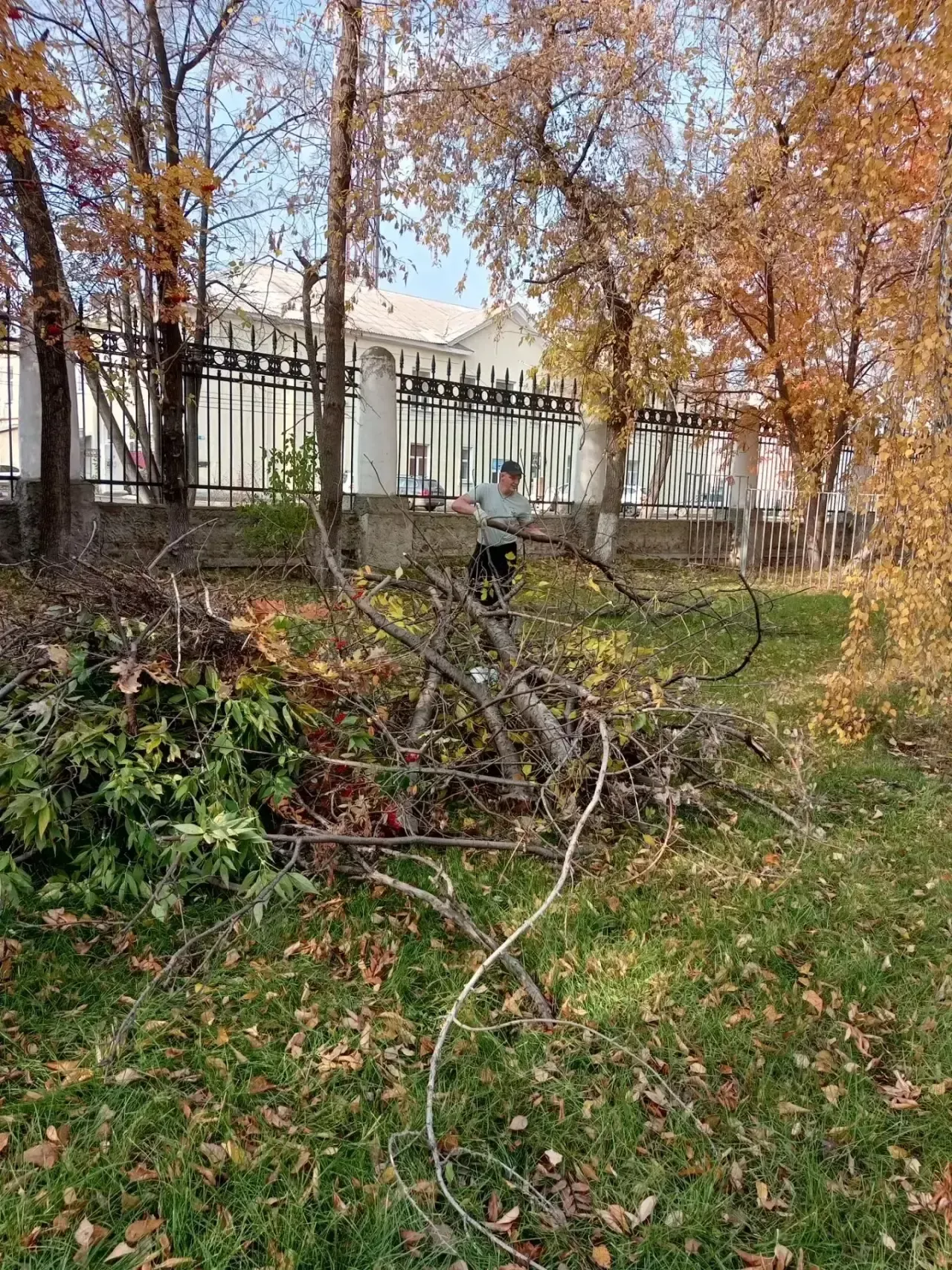 В Копейске в парке спилили сухостой и вывезли мусор
