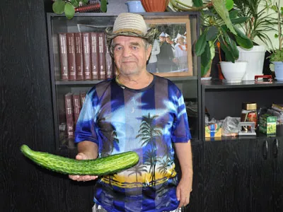 Огурец-молодец