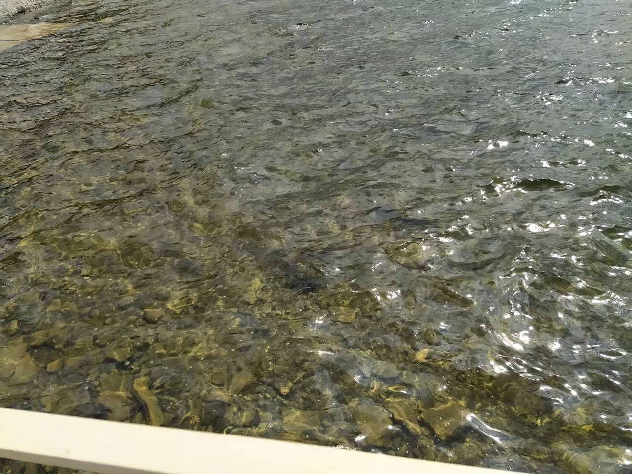 Жаркие выходные ожидаются в Челябинской области