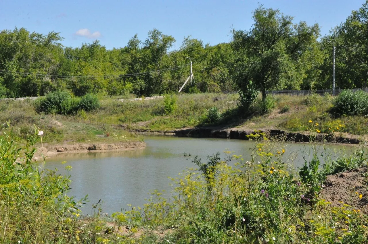 МЧС обещает ветер и град, а синоптики - похолодание 