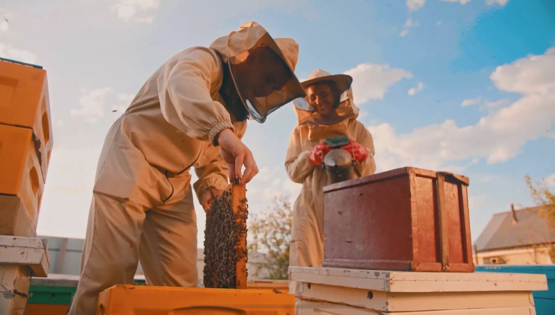 Центр «Мой бизнес» озвучил результаты реализации программы «Готовый продукт»