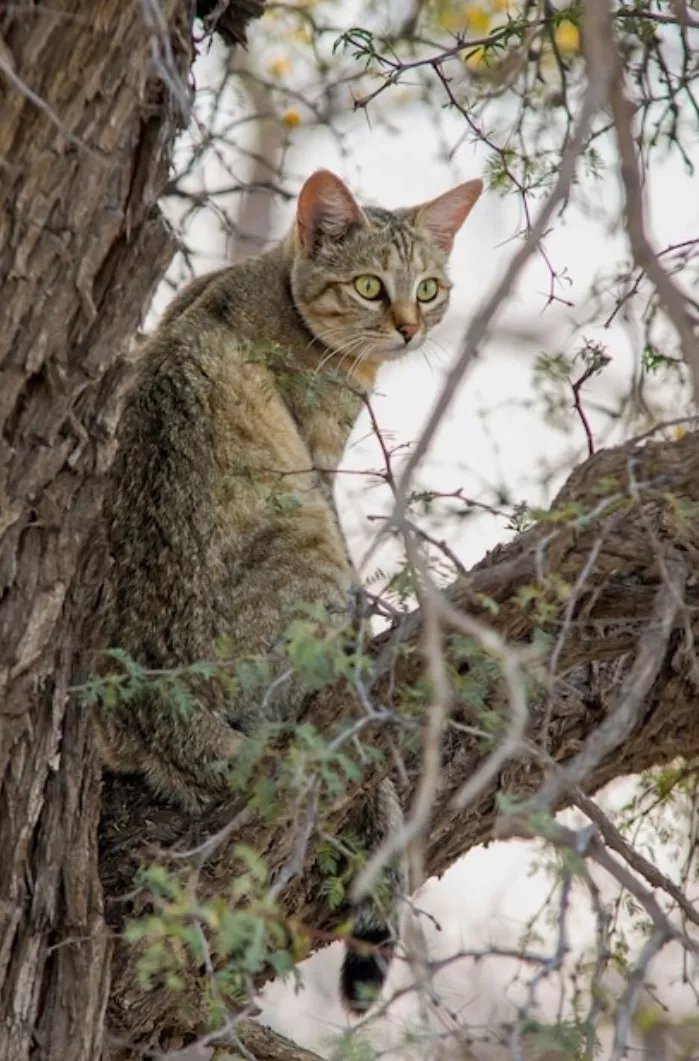 Травм и повреждений ребенок не получил