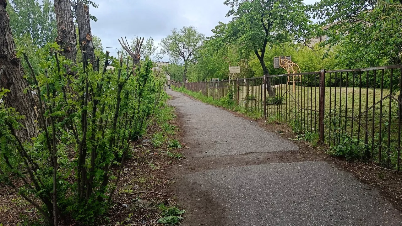 Обновление зелёных зон: работы по уходу за деревьями в Копейске