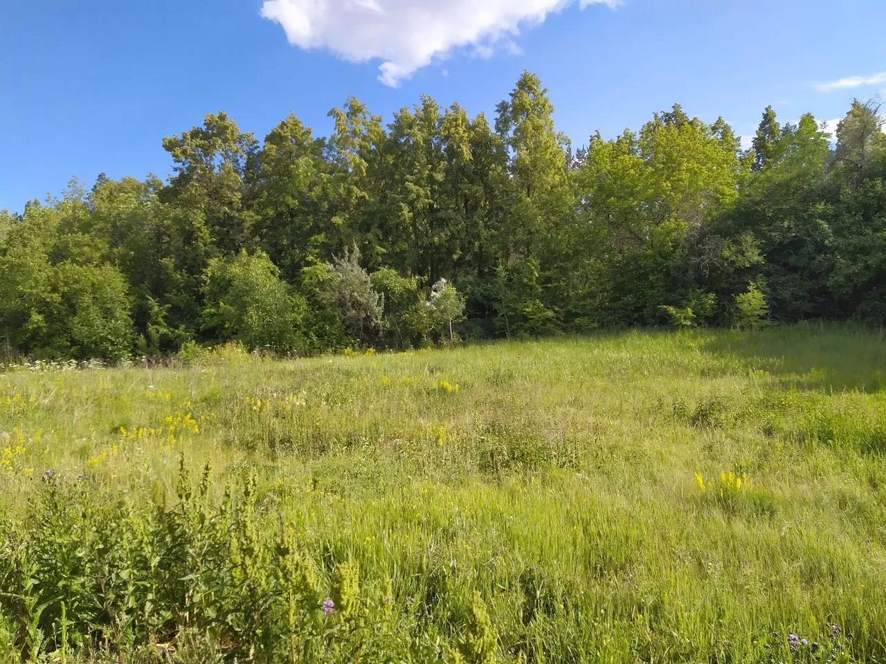 Жара усилится до +36. Погода на Южном Урале на следующую неделю