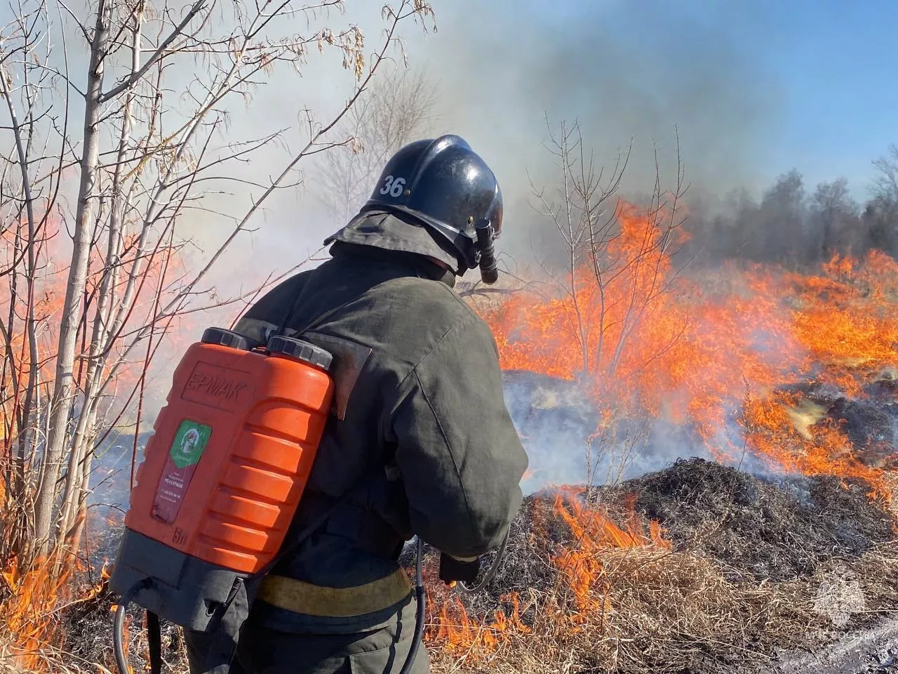 Тревожная статистика ландшафтных пожаров в Челябинской области