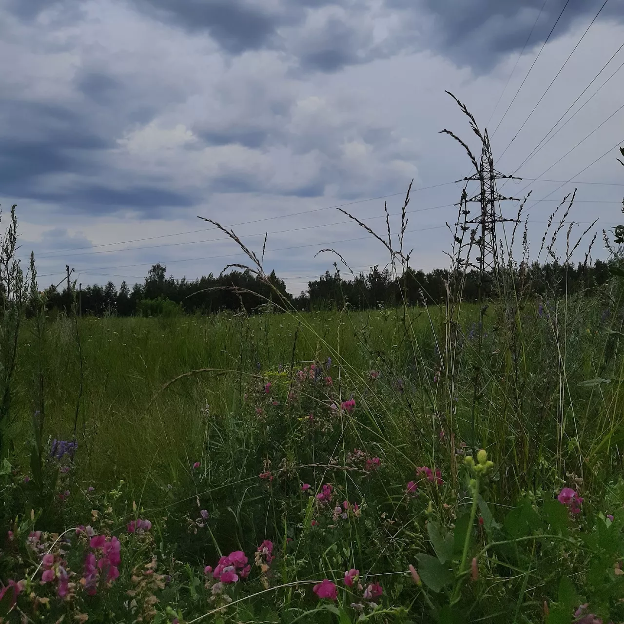 Копейчане делятся мнением: лето - уходящий друг