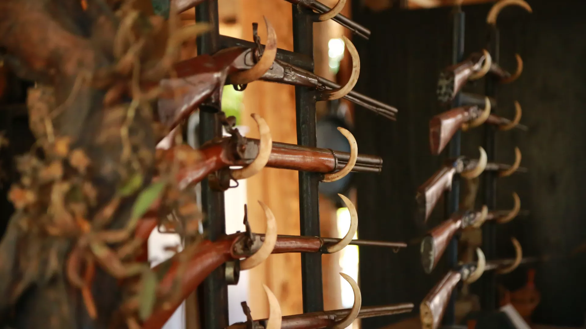 Согласованы сроки охоты в Челябинской области