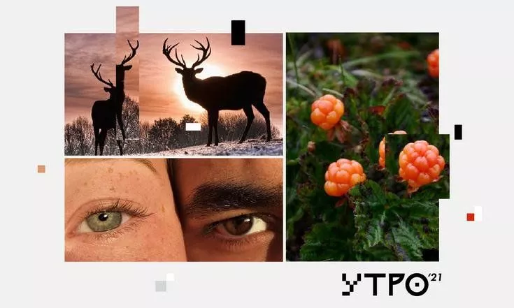 Первый кейс-форум на Северном полярном круге приглашает участников