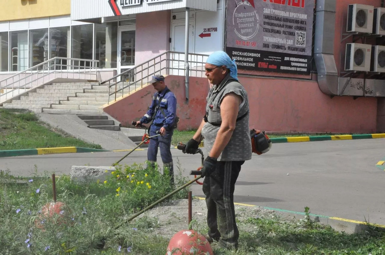 Глава Копейска поручил начать скос травы на газонах и во дворах