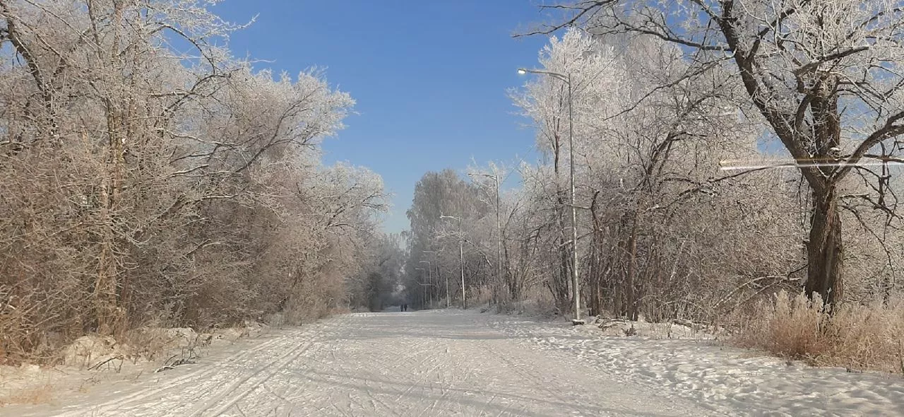 Летняя эстрада, скамейки и фонтан. В Копейске представили проект парка Победы