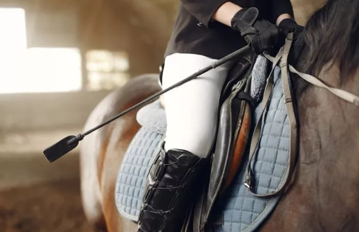 Воспитанники КСК "Серебряное копытце" – призёры всероссийских соревнований, в дисциплине конкур