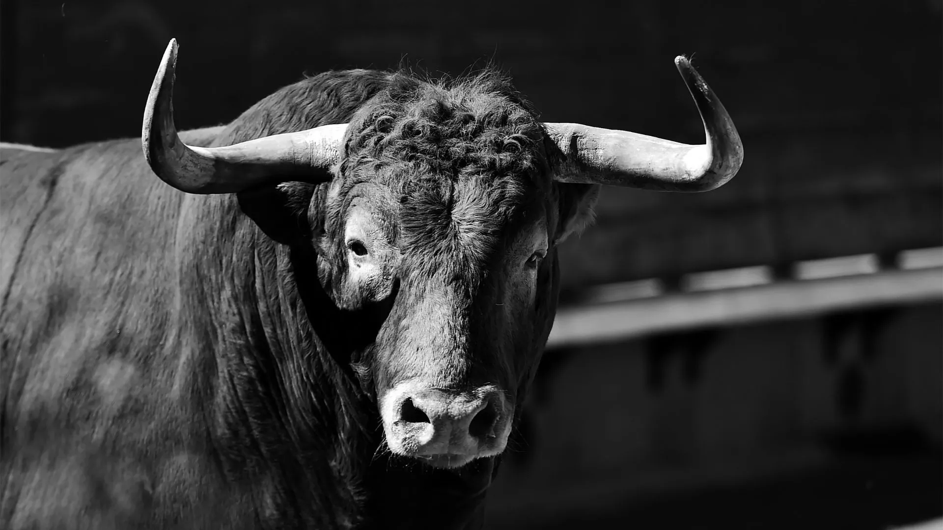 Кому Златорогий Тур принесет счастье и любовь