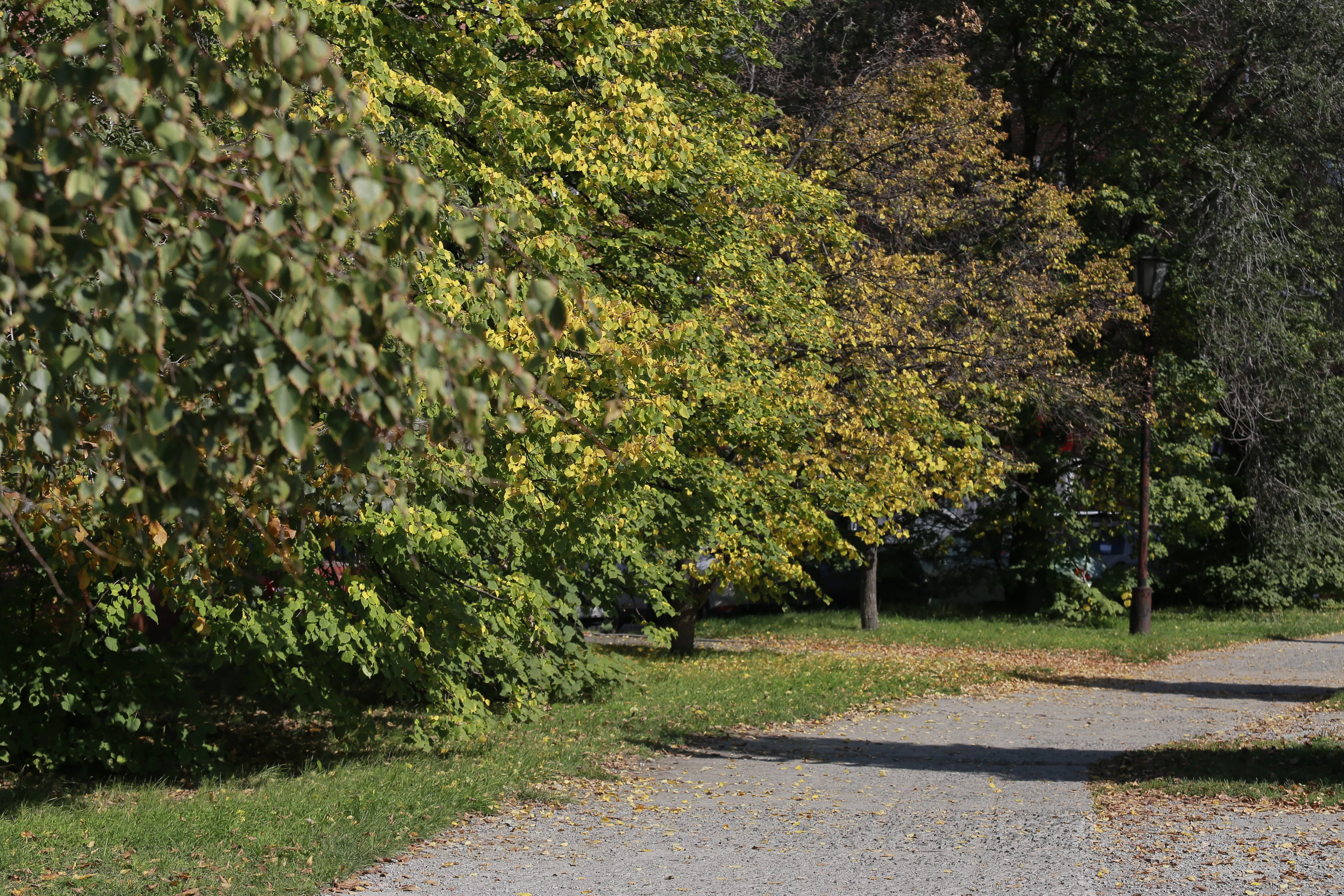 В этот день нельзя приступать к новым делам