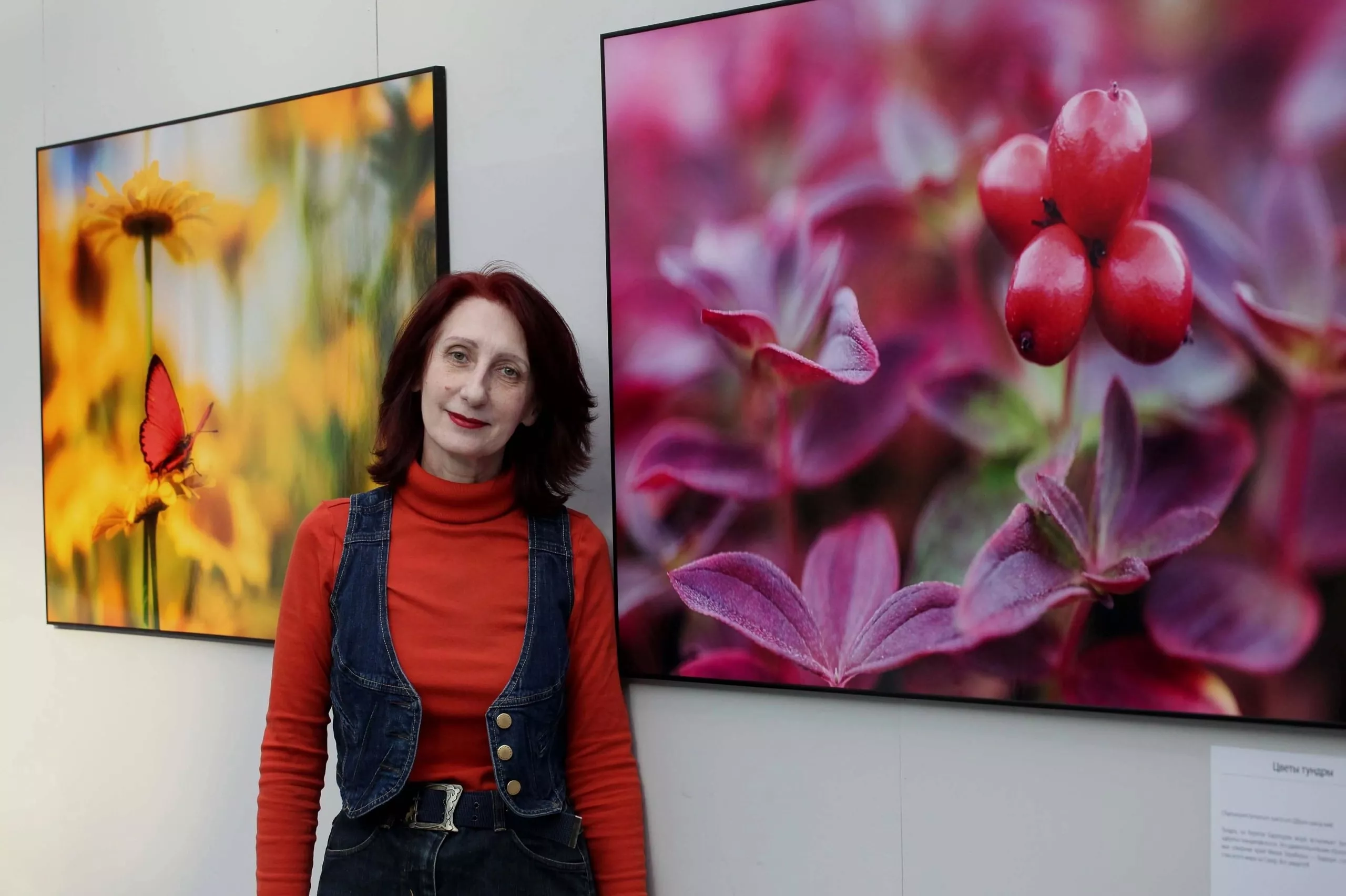 Что скрывается в мимозе?