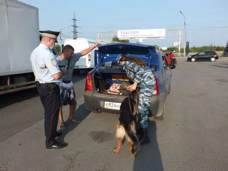 Сотрудники полиции изъяли 1500 литров алкоголя и 3,1 грамм наркотиков