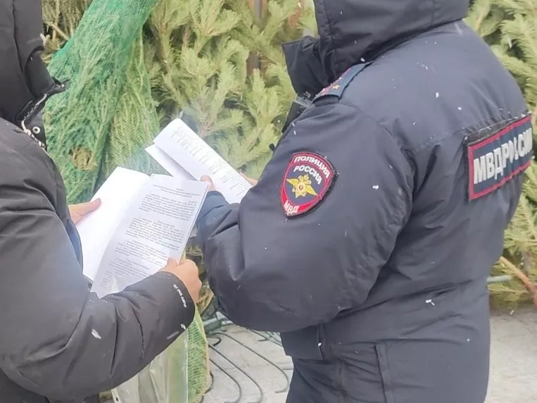 Полицейские Челябинска, Копейска и Кыштыма провели проверку мест продажи хвойных деревьев