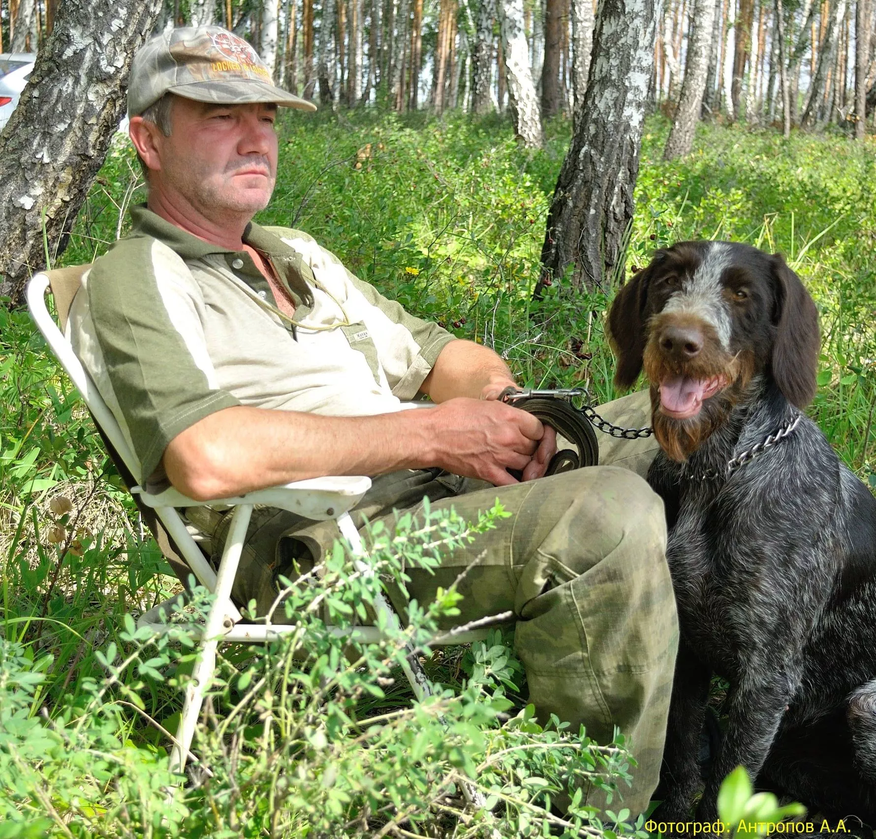 Под Копейском прошли областные состязания легавых собак