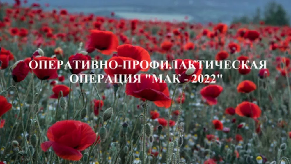 Полиция Копейска объявила старт второго этапа операции "Мак"