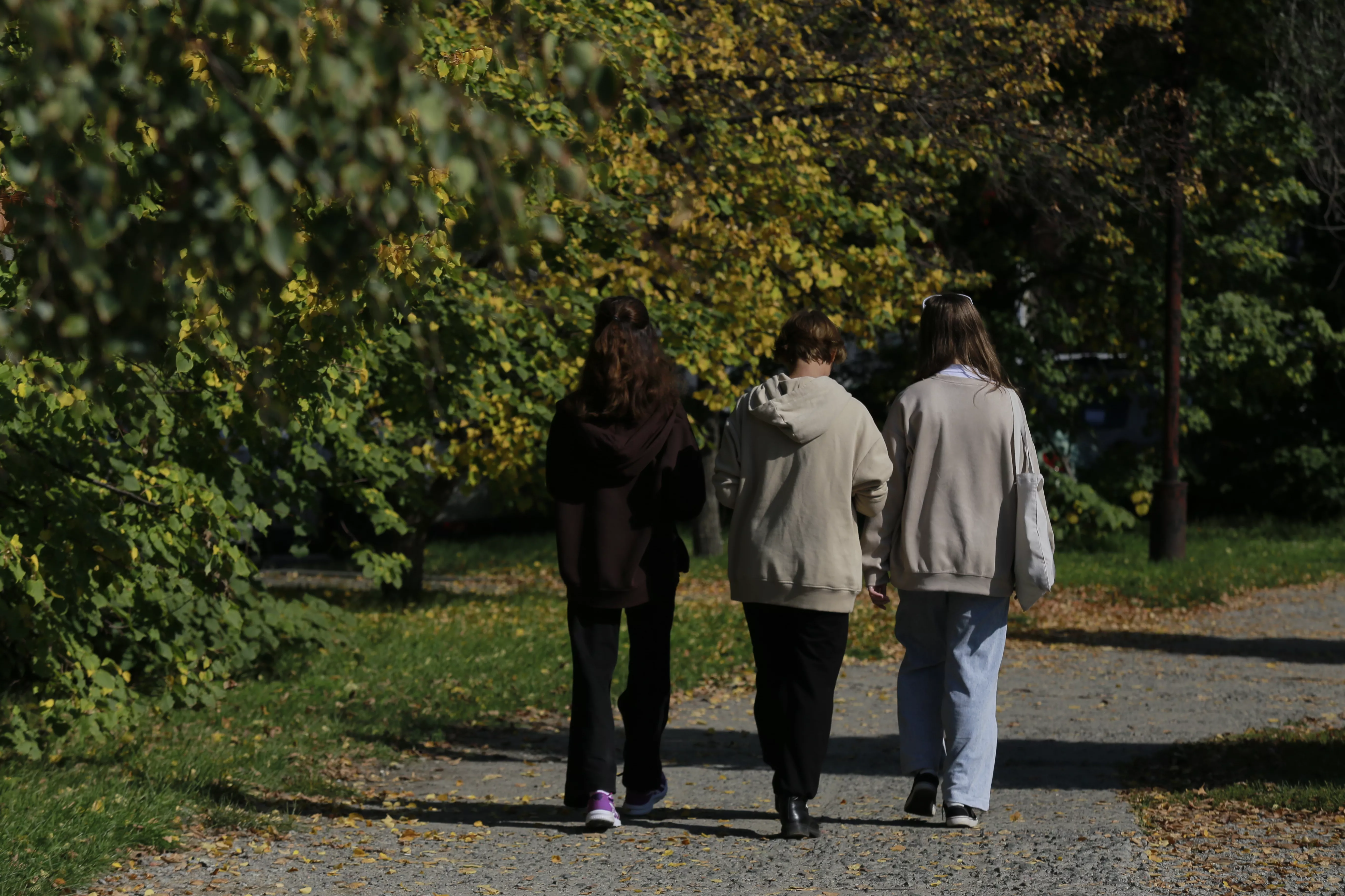 Соблюдение правил поведения в общественных местах — залог порядка и безопасности в Копейске