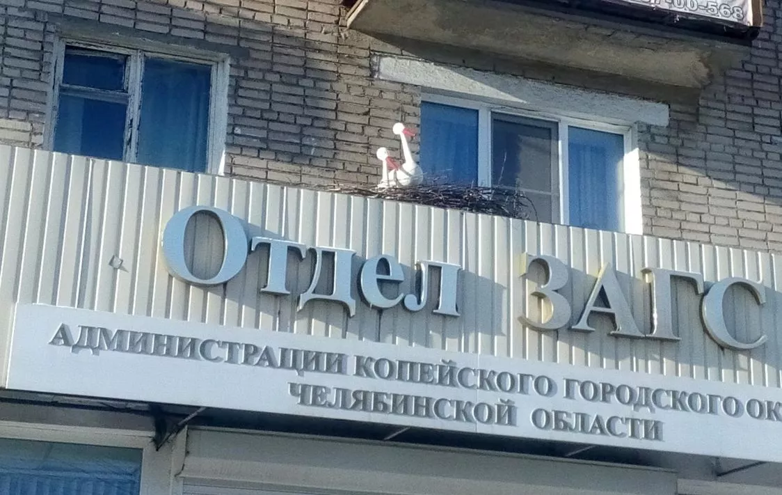 Аист на крыше. На здании копейского ЗАГСа свили гнездо белые птицы
