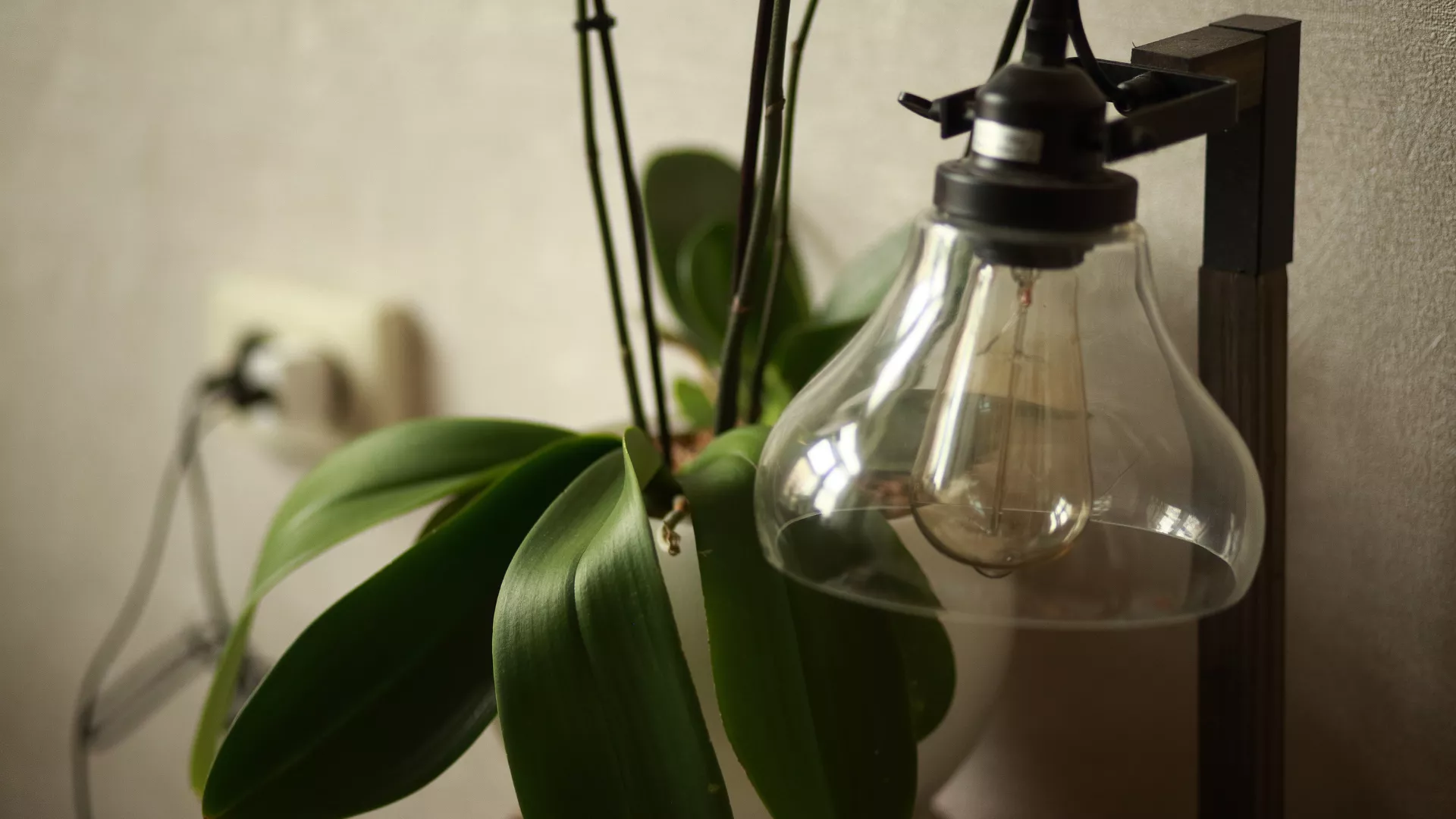 13 декабря: в связи с ремонтом не будет электроэнергии. Какие адреса попадут под отключение?