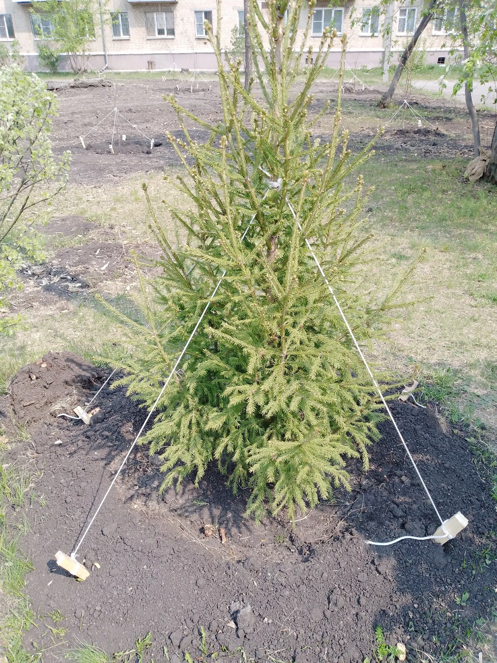 Председатель Совета ветеранов Валентина Сырова приглашает копейчан голосовать за объекты благоустройства: