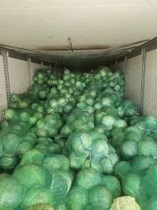  В Бугристом не пропустили 96 тонн овощей и фруктов из‑за нарушений маркировки