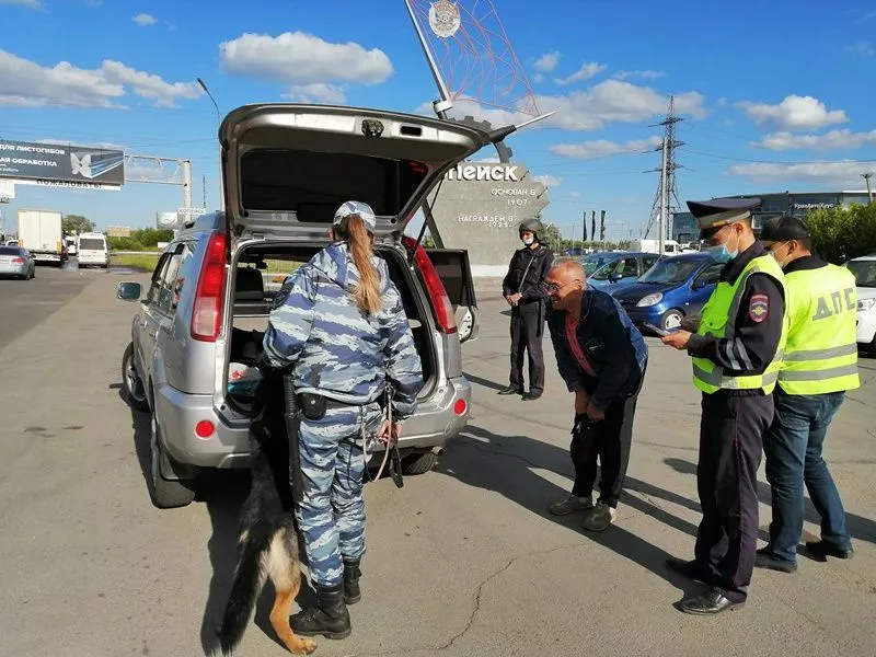 Найти 12 преступников и выявить беспринципных продавцов удалось во время операции «Ночь»