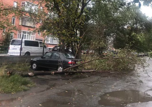 Будь осторожен! Завтра в Челябинской области ожидается ветер до 28 метров в секунду