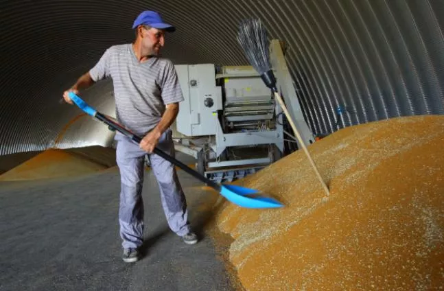 Частичная мобилизация не повлияла на уборочную кампанию в Челябинской области