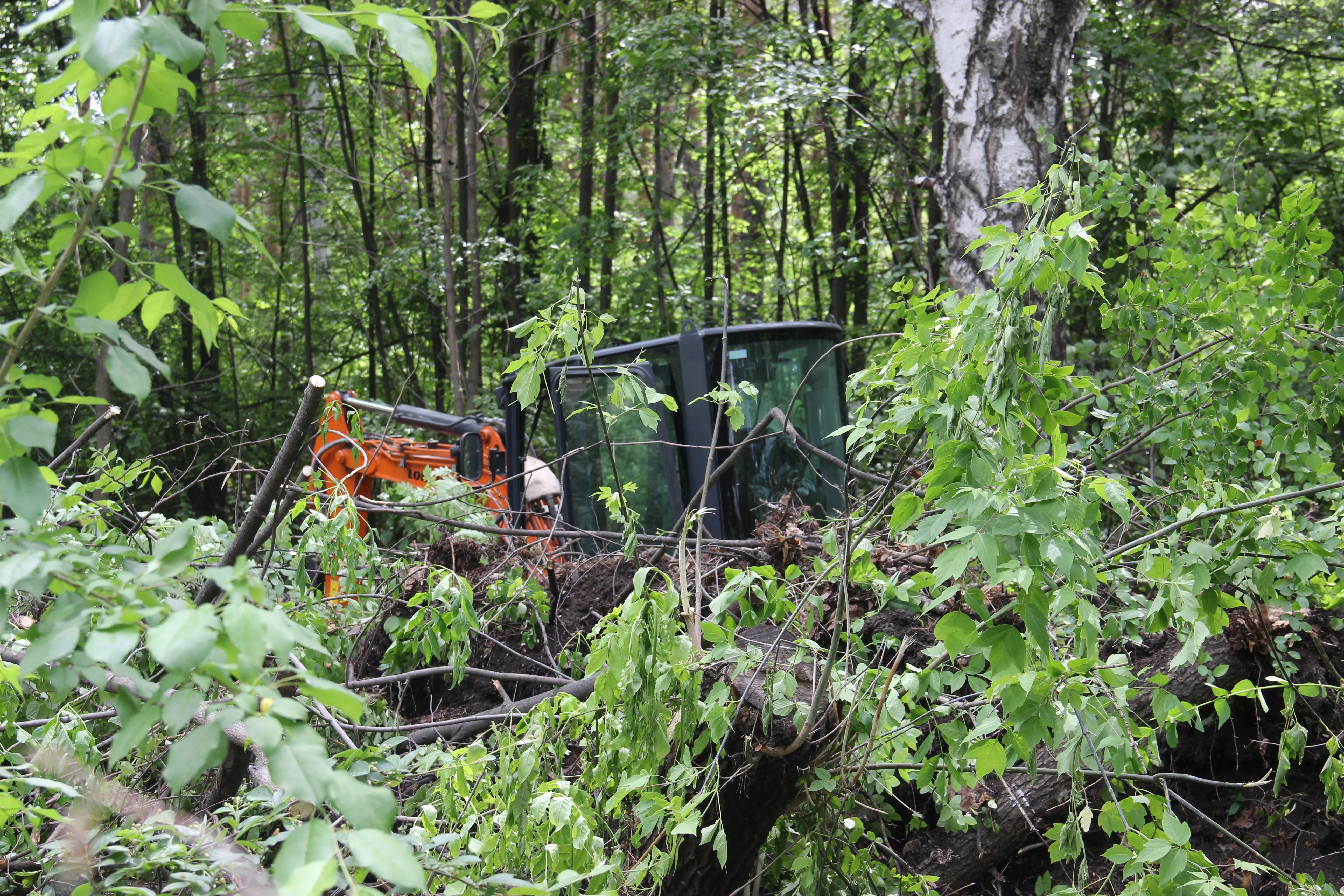 В Копейске продолжается реконструкция парка Победы