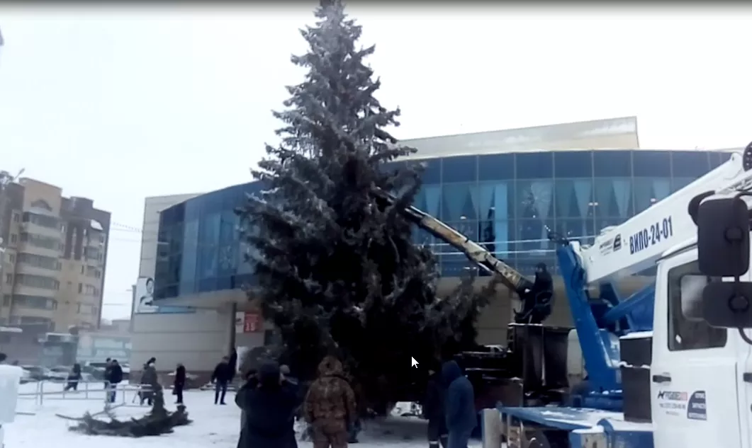 Зацени елочку! Журналисты «КР» сняли на видео установку главного атрибута Нового года в Копейске