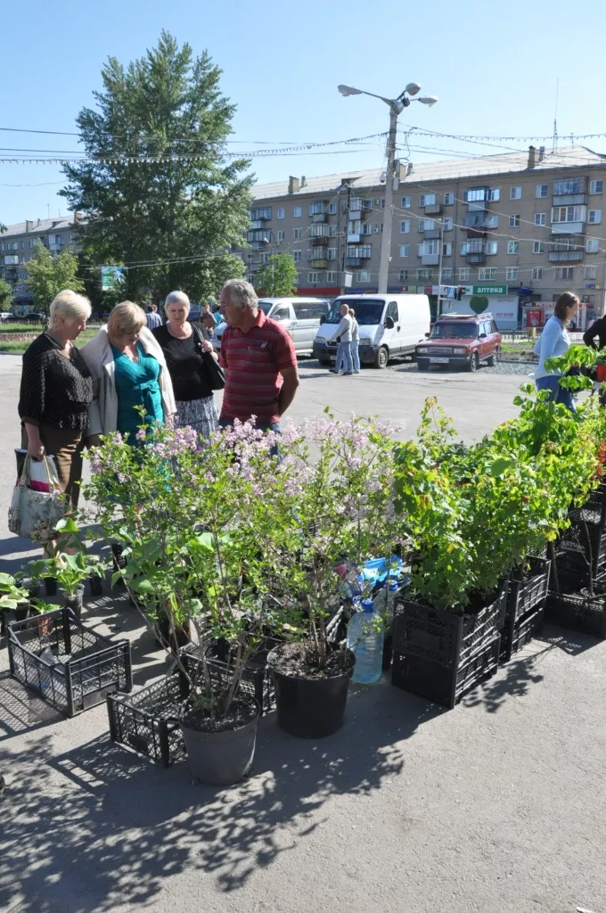 DSC_0246.JPG DSC_0246.JPG