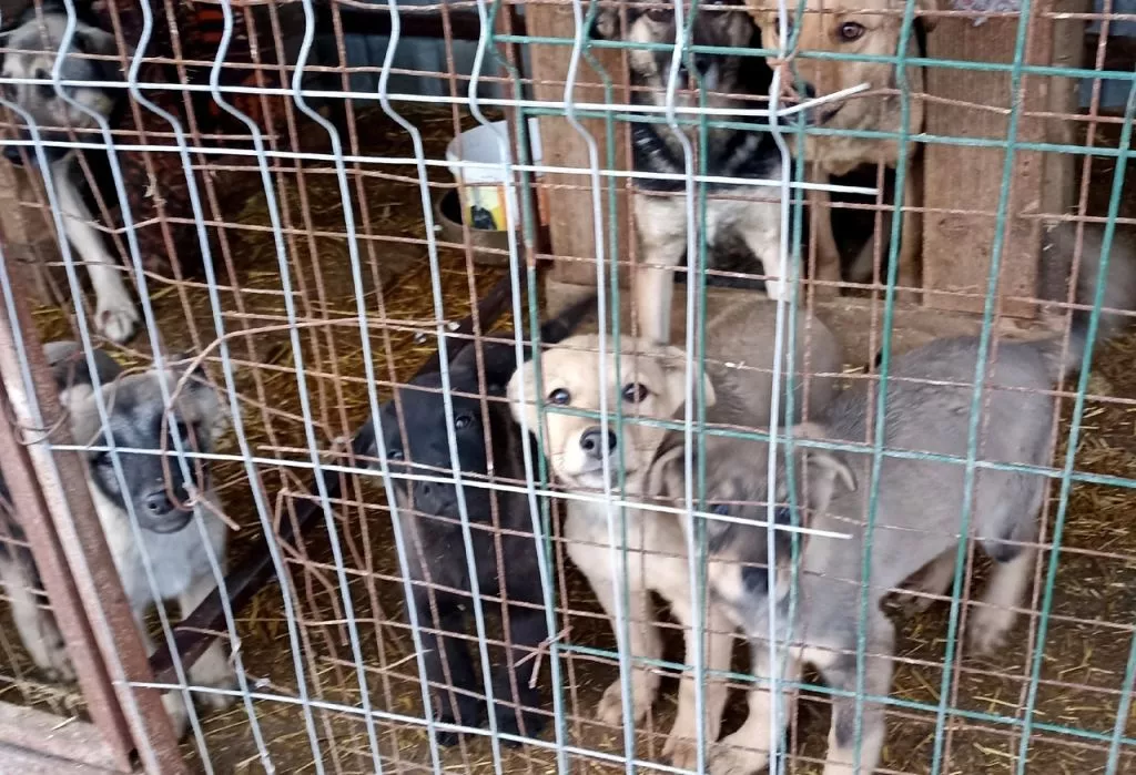 Cl7ZIQxs6Yk.jpg Cl7ZIQxs6Yk.jpg