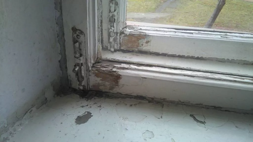 окно.jpg окно.jpg