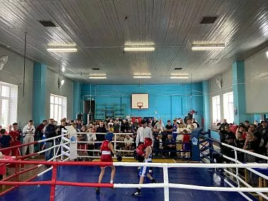 Более ста юных боксёров вышли на ринг Спортивной школы №3