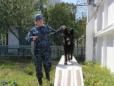 Четверть века в Копейске готовят служебных собак