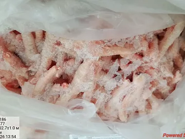 Челябинская область экспортировала 20 тонн куриных лап в Китай
