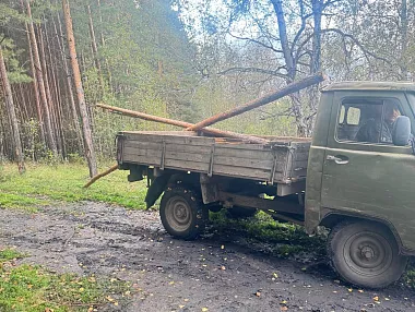 Житель Копейска обвиняется в незаконной вырубке леса